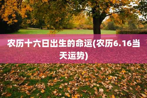 农历十六日出生的命运(农历6.16当天运势)