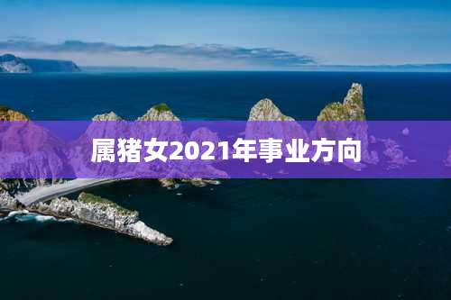 属猪女2021年事业方向