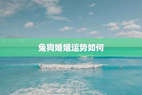 兔狗婚姻运势如何