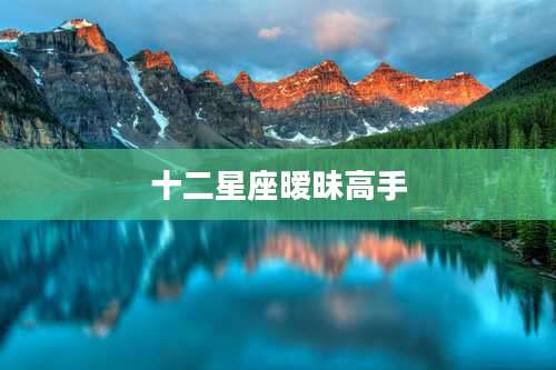 十二星座暧昧高手