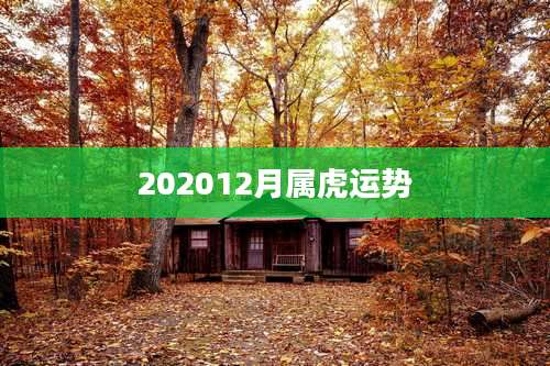 202012月属虎运势