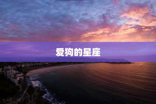 爱狗的星座