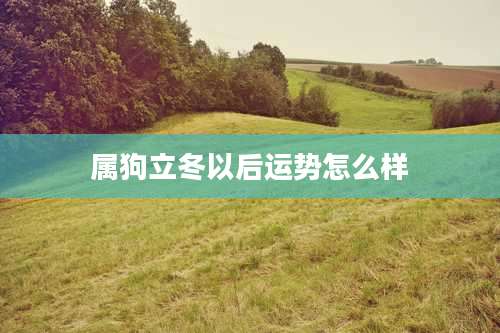 属狗立冬以后运势怎么样