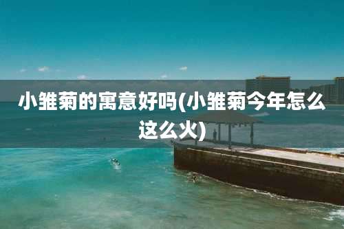 小雏菊的寓意好吗(小雏菊今年怎么这么火)