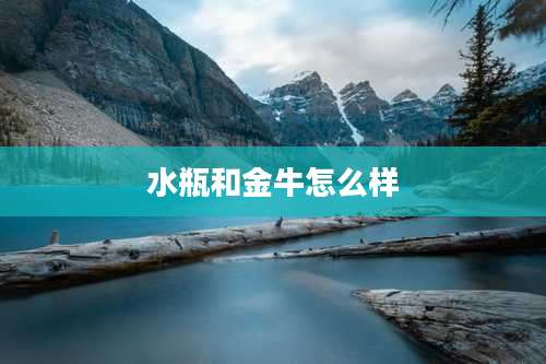 水瓶和金牛怎么样
