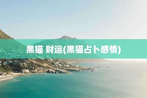 黑猫 财运(黑猫占卜感情)
