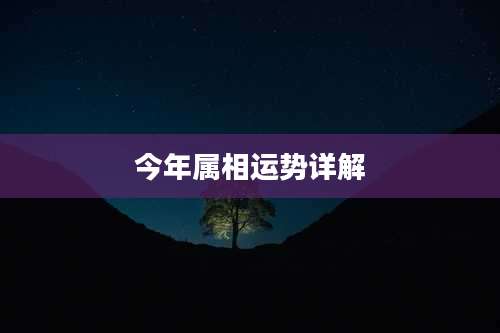 今年属相运势详解
