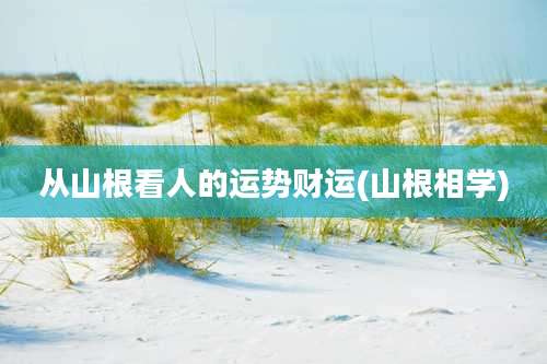 从山根看人的运势财运(山根相学)