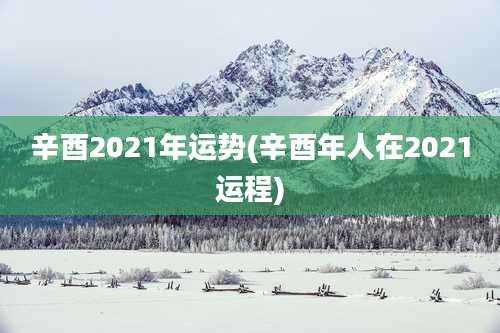 辛酉2021年运势(辛酉年人在2021运程)