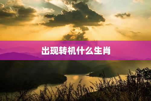 出现转机什么生肖