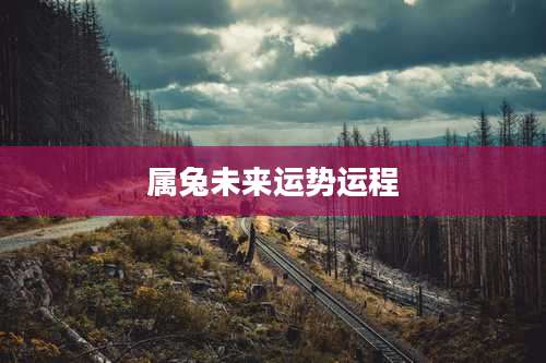 属兔未来运势运程