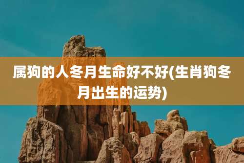 属狗的人冬月生命好不好(生肖狗冬月出生的运势)