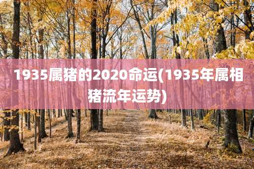 1935属猪的2020命运(1935年属相猪流年运势)
