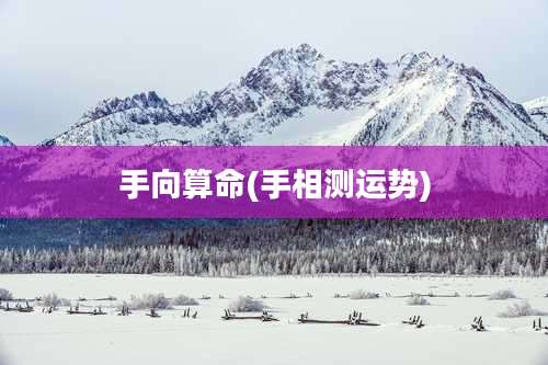 手向算命(手相测运势)