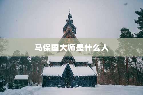 马保国大师是什么人