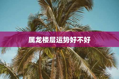 属龙楼层运势好不好