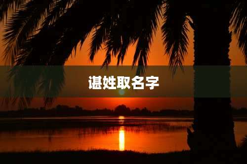 谌姓取名字