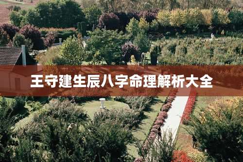 王守建生辰八字命理解析大全