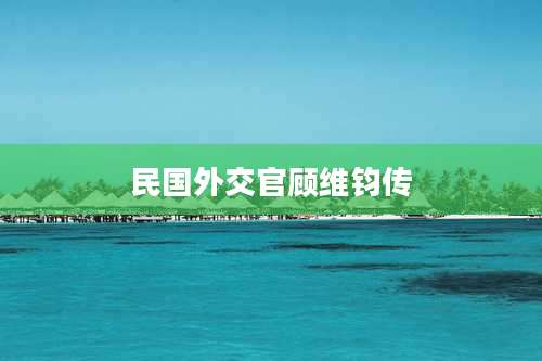 民国外交官顾维钧传