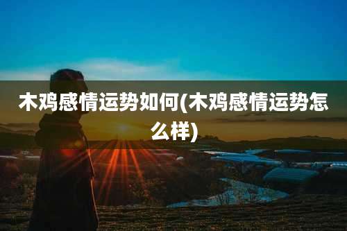 木鸡感情运势如何(木鸡感情运势怎么样)