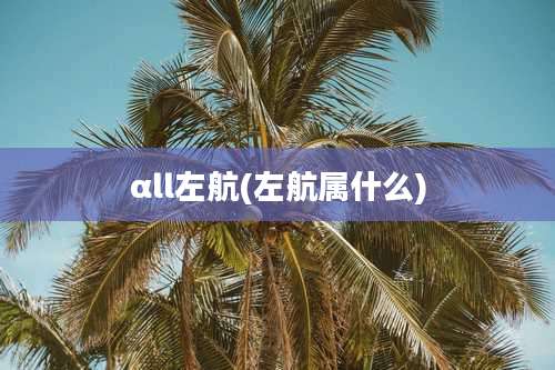 αll左航(左航属什么)