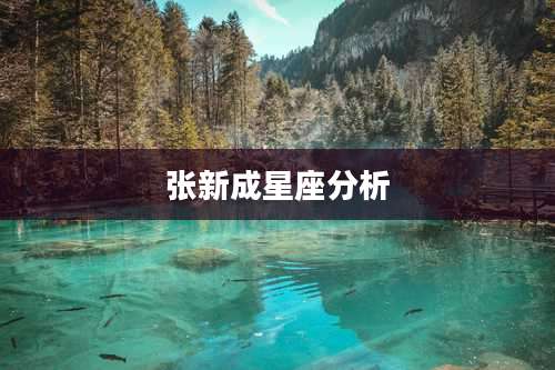 张新成星座分析