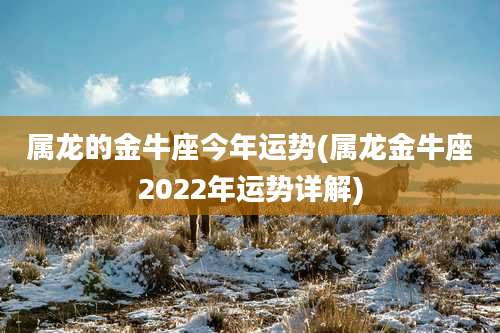 属龙的金牛座今年运势(属龙金牛座2022年运势详解)