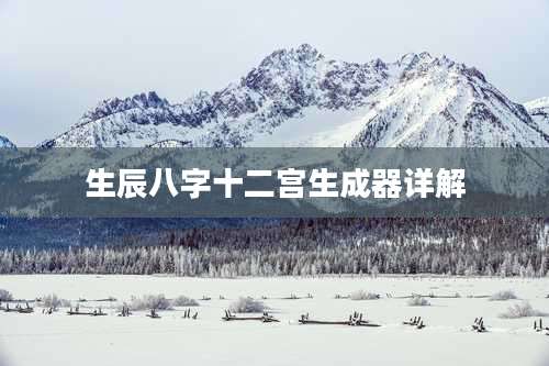 生辰八字十二宫生成器详解