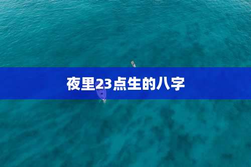 夜里23点生的八字
