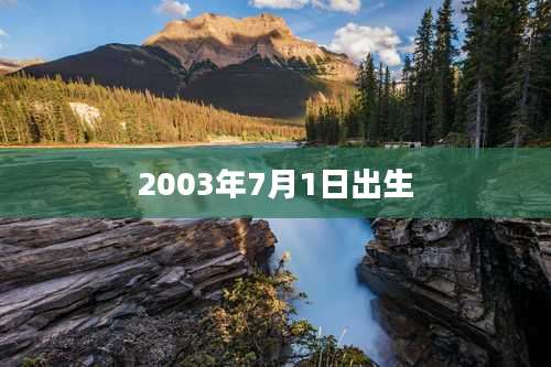 2003年7月1日出生