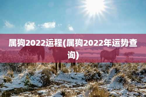 属狗2022运程(属狗2022年运势查询)