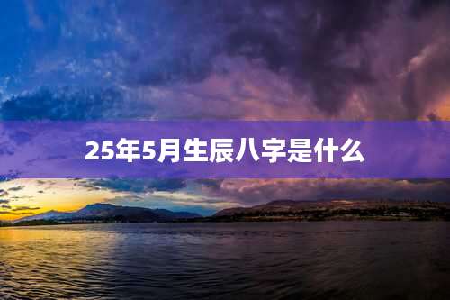 25年5月生辰八字是什么