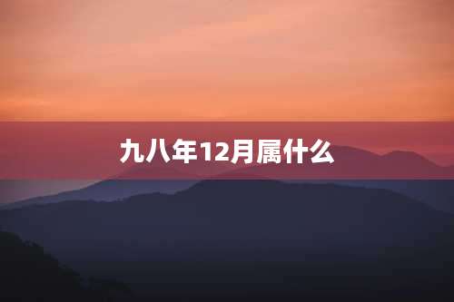 九八年12月属什么