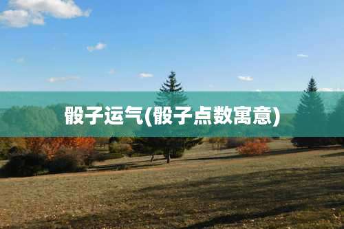 骰子运气(骰子点数寓意)