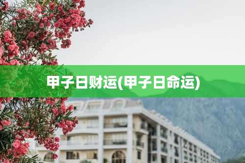 甲子日财运(甲子日命运)