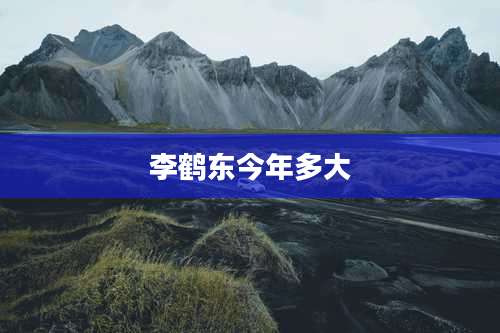 李鹤东今年多大