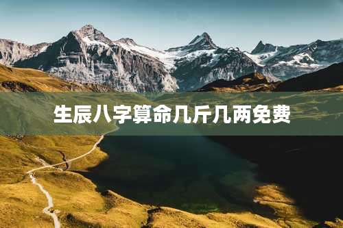 生辰八字算命几斤几两免费