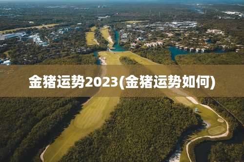 金猪运势2023(金猪运势如何)