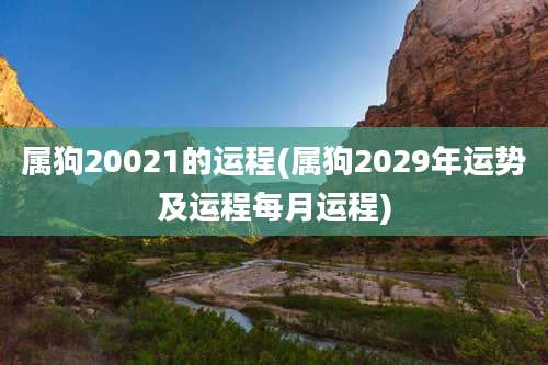 属狗20021的运程(属狗2029年运势及运程每月运程)
