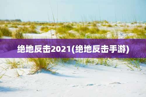 绝地反击2021(绝地反击手游)