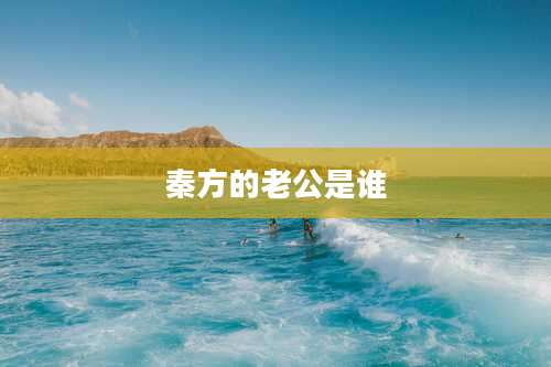 秦方的老公是谁