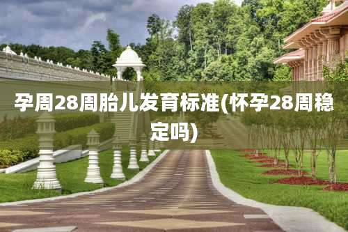 孕周28周胎儿发育标准(怀孕28周稳定吗)
