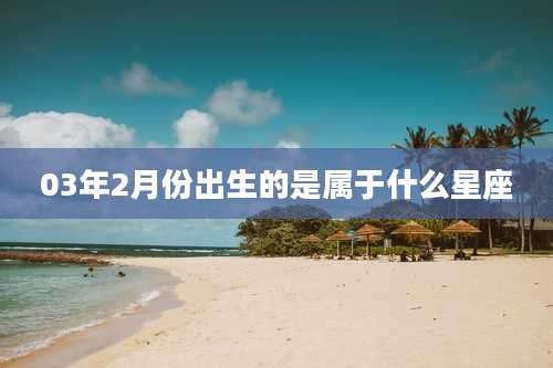 03年2月份出生的是属于什么星座