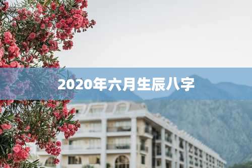 2020年六月生辰八字
