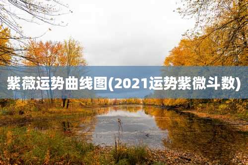 紫薇运势曲线图(2021运势紫微斗数)