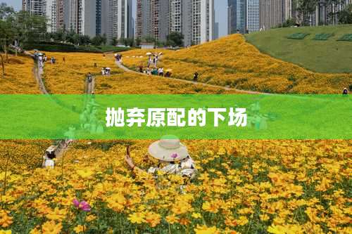 抛弃原配的下场