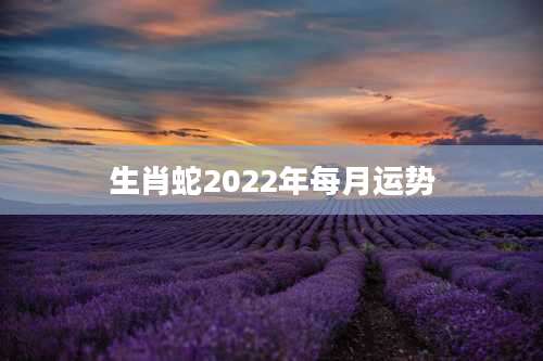 生肖蛇2022年每月运势