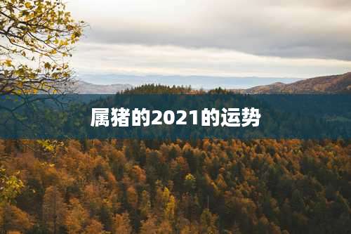 属猪的2021的运势
