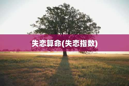 失恋算命(失恋指数)
