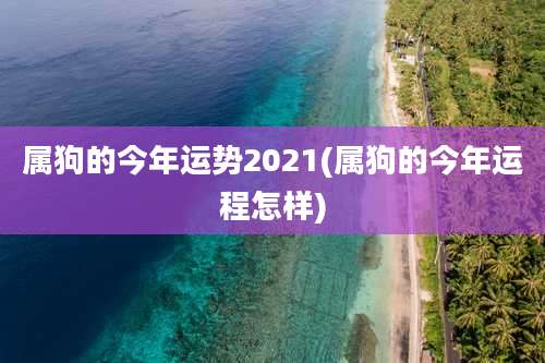 属狗的今年运势2021(属狗的今年运程怎样)